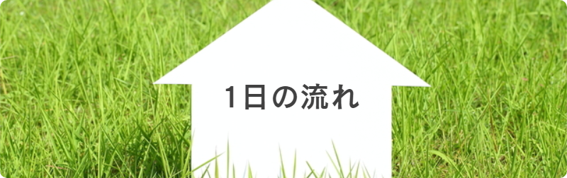 ピアサポートかだん