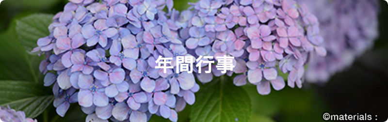 ピアサポートかだん